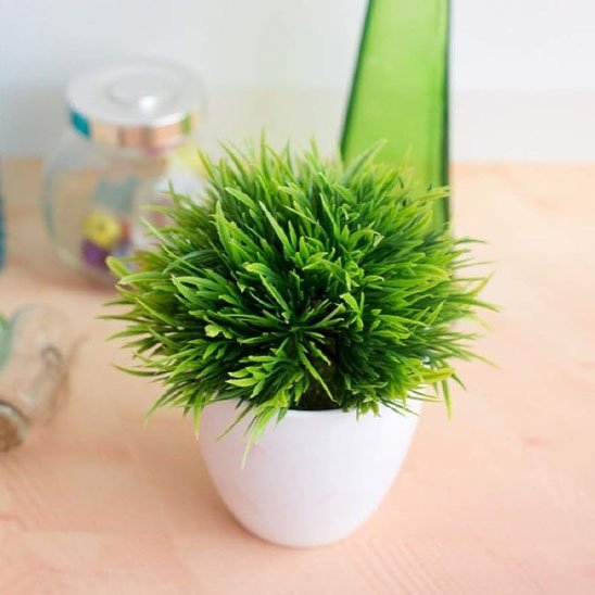 Plante artificielle
